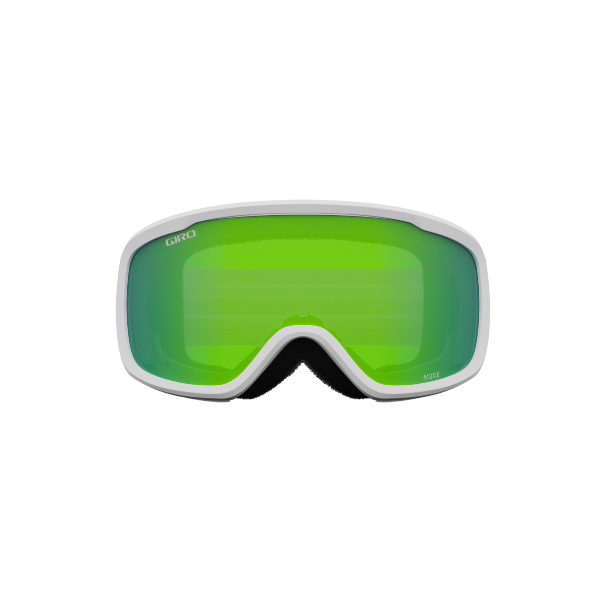 Giro Roam Snow Goggles